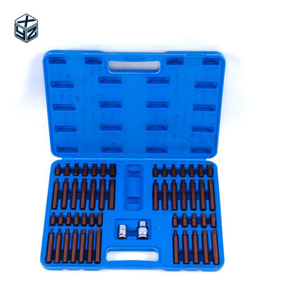 S2 Alloy Steel Precision Machining 54pcs Plastic Box Bits Set for 3/8in Drive Size