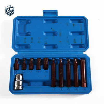 11pcs S2 M Type Alloy Steel Hand Tool Bit Set Industrial Grade for Customized Support